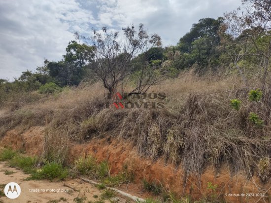 lote-venda-tropical-contagem-797124