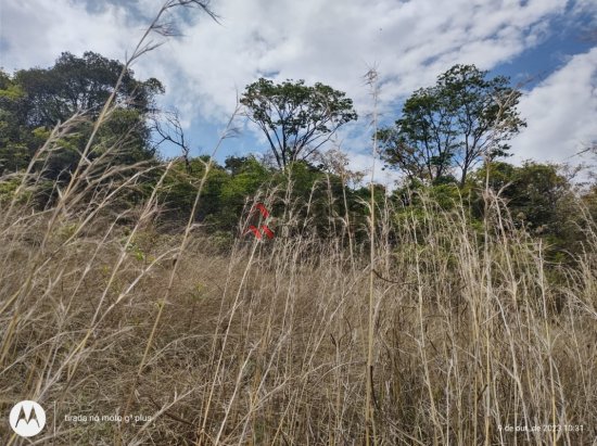 lote-venda-tropical-contagem-797128